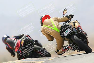 media/Apr-10-2022-SoCal Trackdays (Sun) [[f104b12566]]/Turn 9 Backside (1120am)/